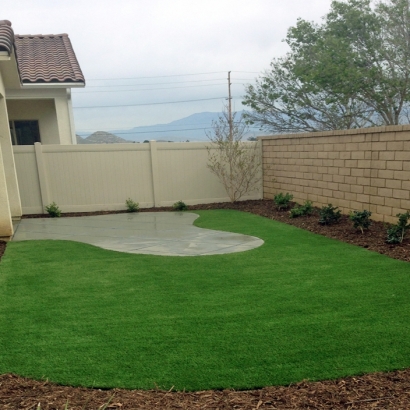 Grass Installation Olga, Florida Roof Top, Backyard Landscaping