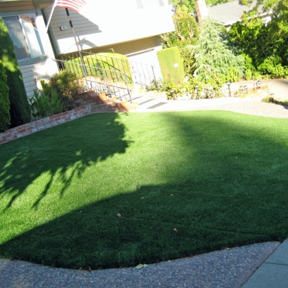 Grass Turf Bay Hill, Florida Rooftop, Front Yard