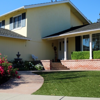 Grass Turf Wimauma, Florida Lawns, Front Yard Design