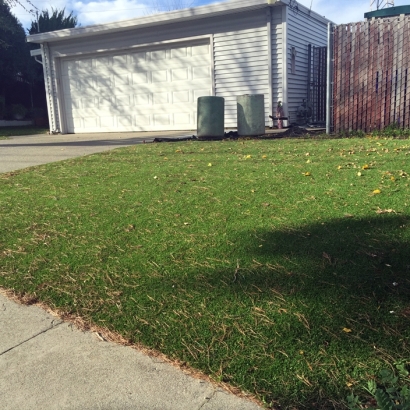 Green Lawn Big Pine Key, Florida Roof Top, Front Yard Ideas