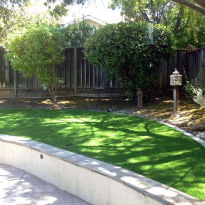 Green Lawn Coconut Grove, Florida Landscaping Business, Commercial Landscape