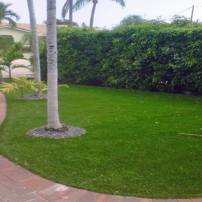 Green Lawn Key Colony Beach, Florida Lawns, Small Front Yard Landscaping