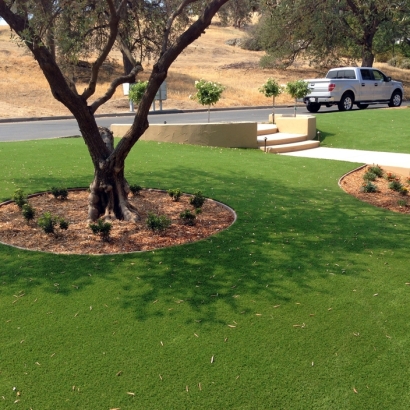 Green Lawn Nocatee, Florida Rooftop, Front Yard