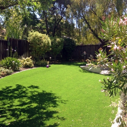 Green Lawn Washington Park, Florida Landscape Photos, Backyard