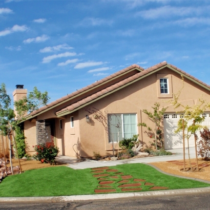 Outdoor Carpet Lely, Florida Gardeners, Front Yard Ideas