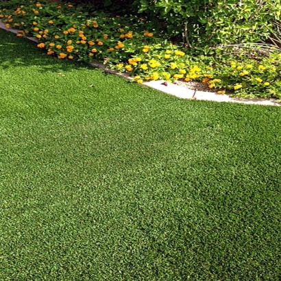 Outdoor Carpet Westwood Lake, Florida Landscaping Business, Front Yard