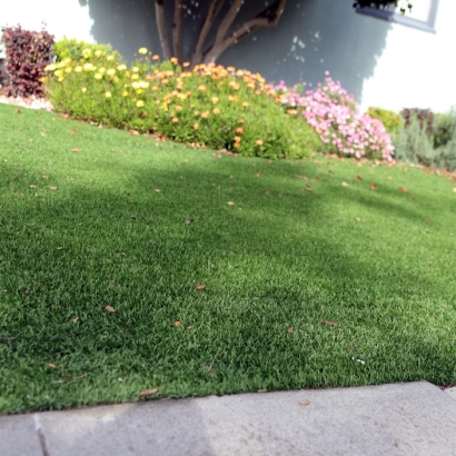 Plastic Grass Margate, Florida Landscape Ideas, Small Front Yard Landscaping