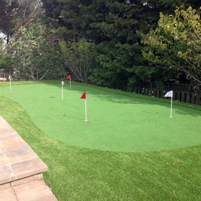 Plastic Grass Memphis, Florida Artificial Putting Greens, Backyard