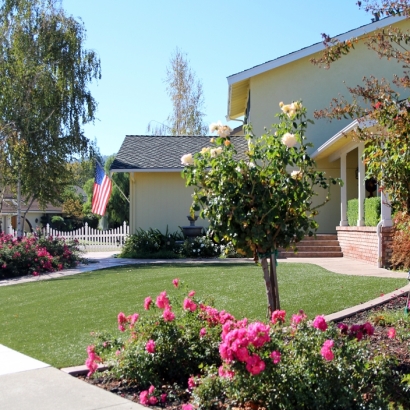 Synthetic Grass Cost Crystal Lake, Florida Landscaping Business, Small Front Yard Landscaping