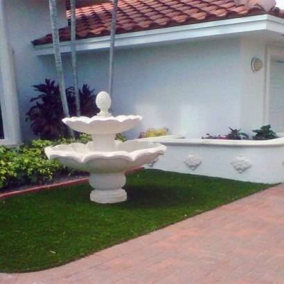 Synthetic Grass Cost Goulds, Florida Landscape Ideas, Front Yard