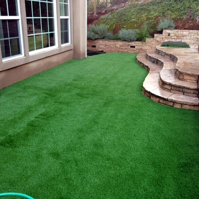 Synthetic Grass Cost Lehigh Acres, Florida Garden Ideas, Beautiful Backyards