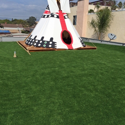 Synthetic Grass Cost Miami Springs, Florida Backyard Playground, Veranda