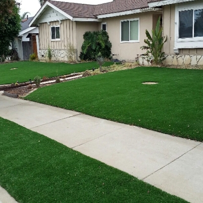 Synthetic Grass Cost Poinciana, Florida Gardeners, Front Yard Ideas