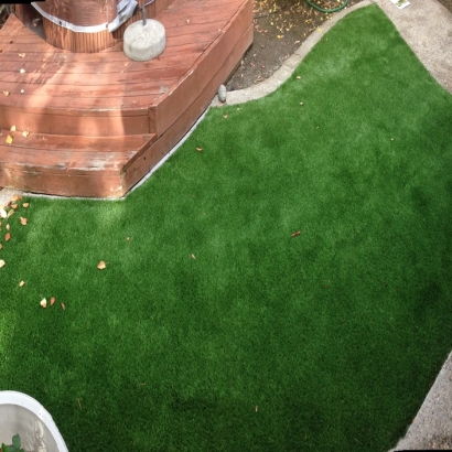 Synthetic Grass Hypoluxo, Florida Rooftop, Small Backyard Ideas