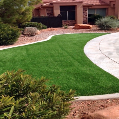 Synthetic Grass Immokalee, Florida Landscape Ideas, Front Yard Design