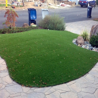 Synthetic Grass Leisure City, Florida Landscaping Business