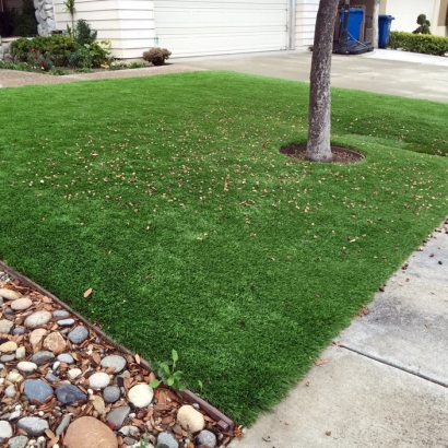 Synthetic Grass Wellington, Florida Roof Top, Front Yard Ideas