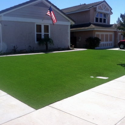 Synthetic Lawn Mangonia Park, Florida Landscaping, Front Yard Landscaping Ideas