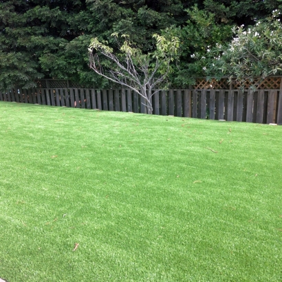 Synthetic Turf Dover, Florida Landscape Photos, Backyards