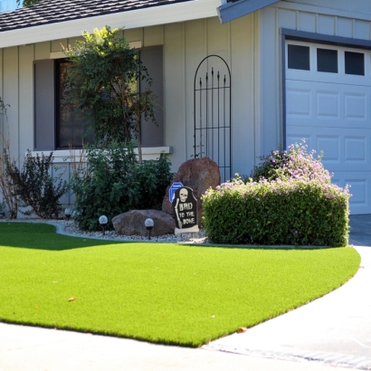 Synthetic Turf Fussels Corner, Florida Home And Garden, Front Yard Landscaping