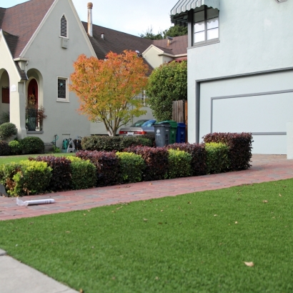 Synthetic Turf Kendall Green, Florida Lawns, Front Yard Landscape Ideas