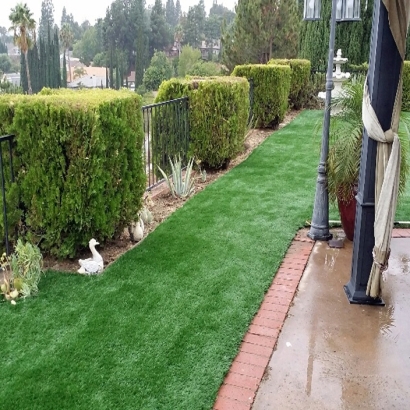 Synthetic Turf Sarasota, Florida Lawn And Garden, Backyard Makeover