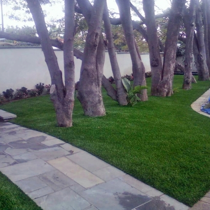 Synthetic Turf Supplier Bradley Junction, Florida Landscape Rock, Front Yard Landscape Ideas