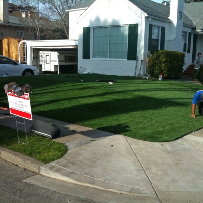 Synthetic Turf Supplier Gladeview, Florida Design Ideas, Landscaping Ideas For Front Yard