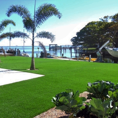 Synthetic Turf Supplier Goodland, Florida City Landscape, Natural Swimming Pools