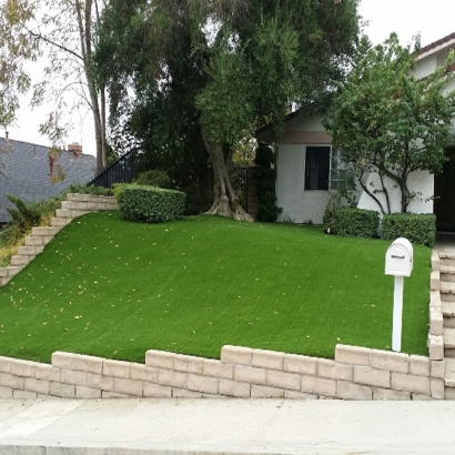 Synthetic Turf Supplier Lake Hamilton, Florida Rooftop, Landscaping Ideas For Front Yard