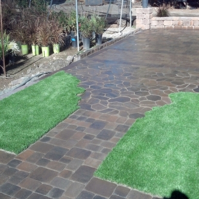 Synthetic Turf Supplier Palm Beach Shores, Florida Roof Top, Backyard Garden Ideas