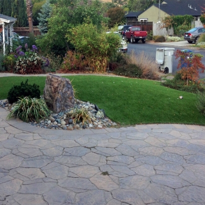 Synthetic Turf Tamiami, Florida Landscape Photos, Landscaping Ideas For Front Yard