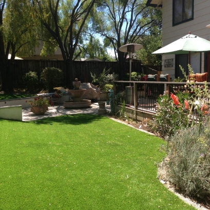 Turf Grass Schall Circle, Florida Roof Top, Backyard Designs