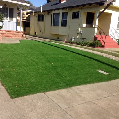 Turf Grass Twin Lakes, Florida Landscape Photos, Front Yard Ideas