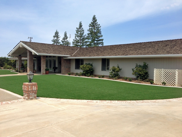 Artificial Grass Carpet Glen Ridge, Florida Paver Patio, Front Yard Design