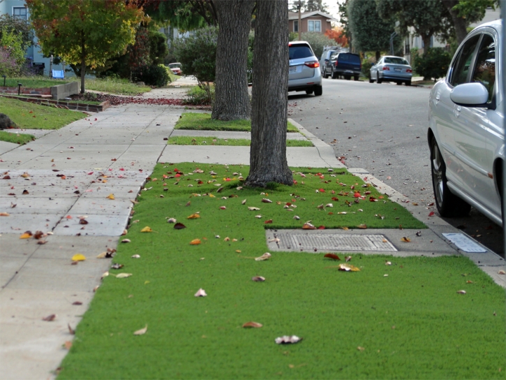 Artificial Grass Carpet Hamptons at Boca Raton, Florida Landscaping Business, Small Front Yard Landscaping