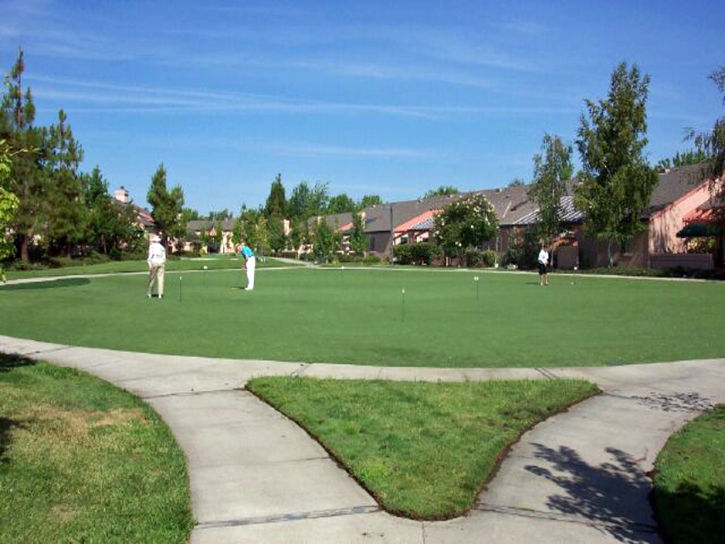 Artificial Grass Carpet Indian Harbour Beach, Florida Putting Green Flags, Commercial Landscape