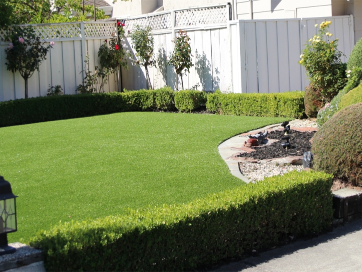 Artificial Grass Carpet Kissimmee, Florida Landscaping Business, Backyard Ideas