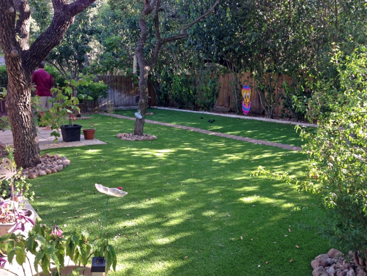 Artificial Grass Carpet North Beach, Florida Landscaping, Backyards