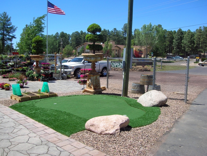 Artificial Grass Carpet North River Shores, Florida Roof Top, Commercial Landscape