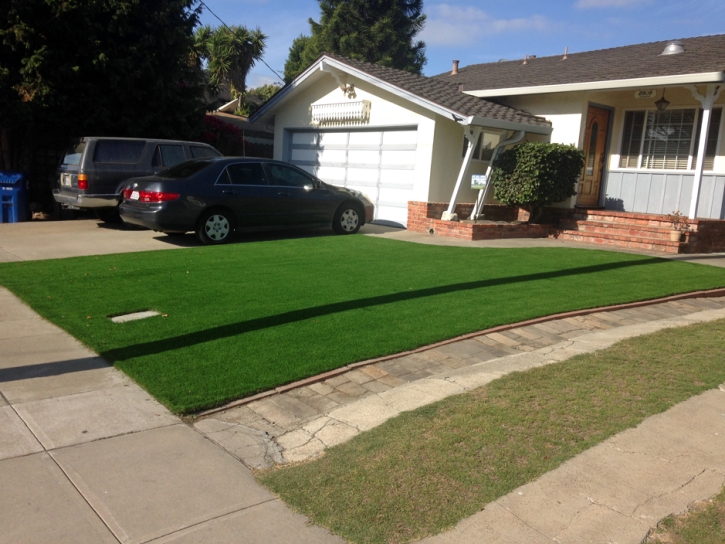 Artificial Grass Carpet Palm River-Clair Mel, Florida Landscape Rock, Front Yard Landscape Ideas