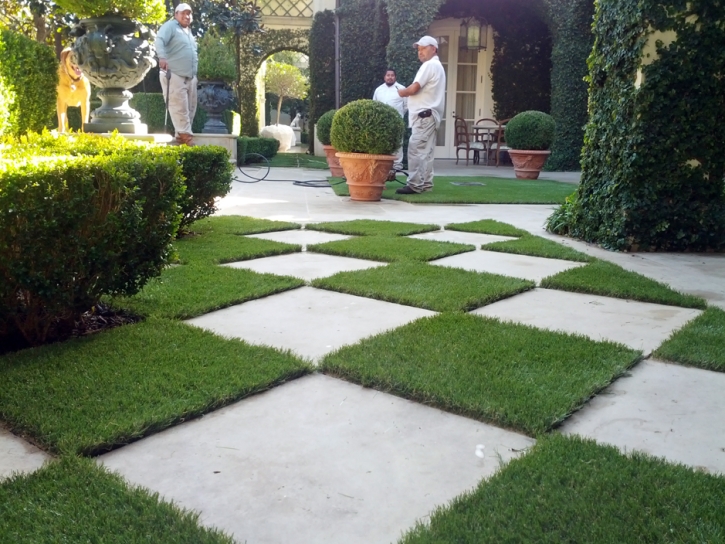 Artificial Grass Carpet Sunshine Ranches, Florida Landscape Rock, Pavers