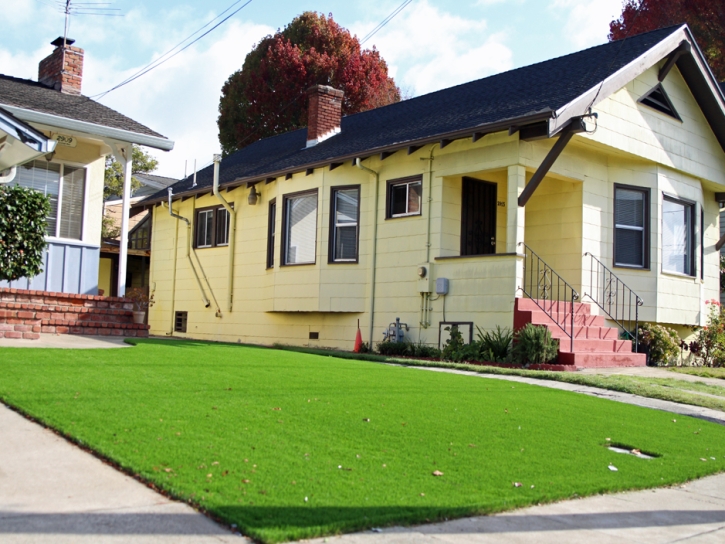 Artificial Grass Carpet White City, Florida Backyard Deck Ideas, Front Yard Landscaping Ideas