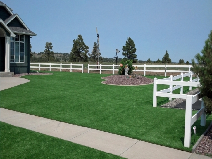 Artificial Grass Carpet Winter Beach, Florida Backyard Deck Ideas, Backyard Design