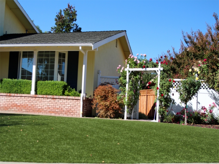 Artificial Grass Carpet Winter Haven, Florida Landscape Ideas, Front Yard Ideas