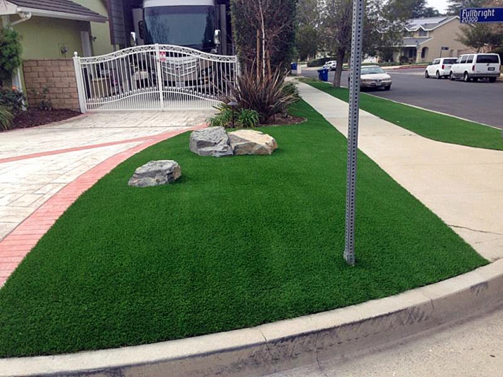 Artificial Grass Fort Myers Beach, Florida Roof Top, Front Yard Ideas