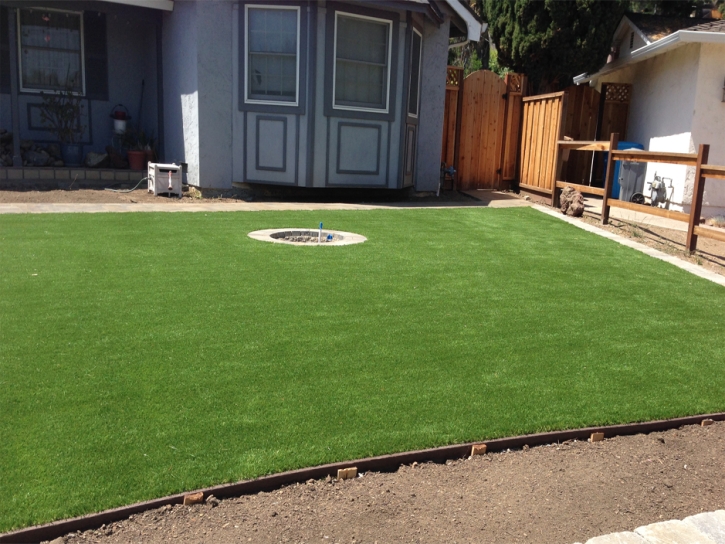 Artificial Grass Lakewood Park, Florida Roof Top, Backyard Landscape Ideas