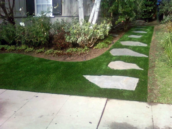 Artificial Grass North Miami Beach, Florida Lawn And Garden, Front Yard