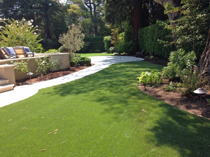 Artificial Grass Royal Palm Beach, Florida Roof Top, Backyard Landscaping