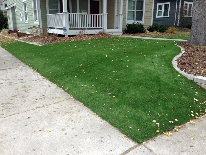 Artificial Lawn Brownsville, Florida Landscape Rock, Front Yard Landscaping